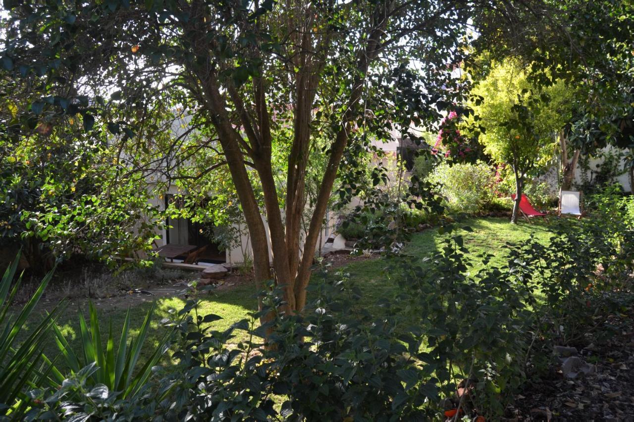 Garden In The City Silves Kültér fotó